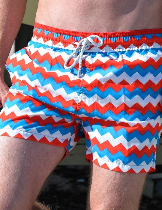 Men's Pier Sports Swim Shorts - Chevron