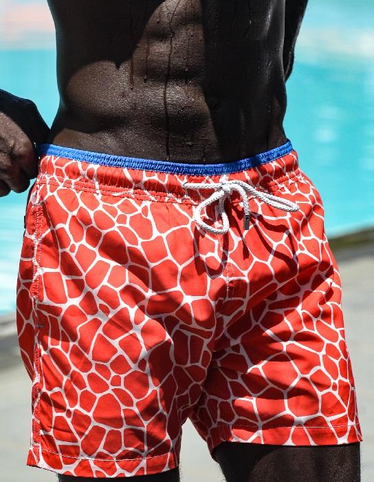 Men's Pier Sports Swim Shorts - Giraffe