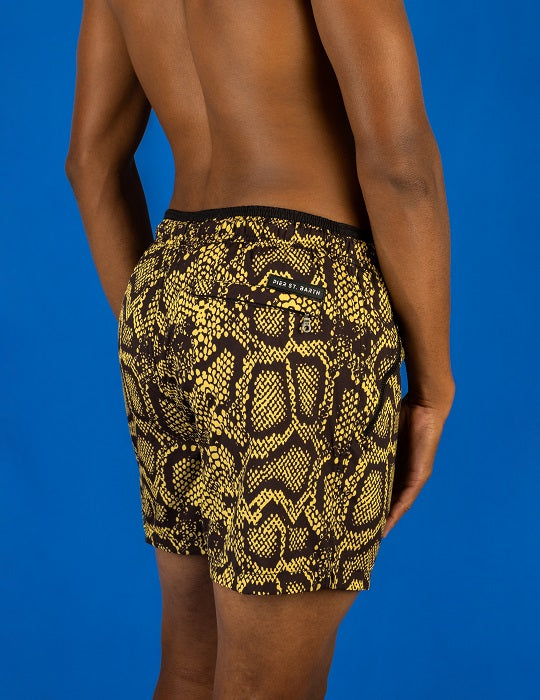 Men's Cannes Sports Swim Shorts - Viper