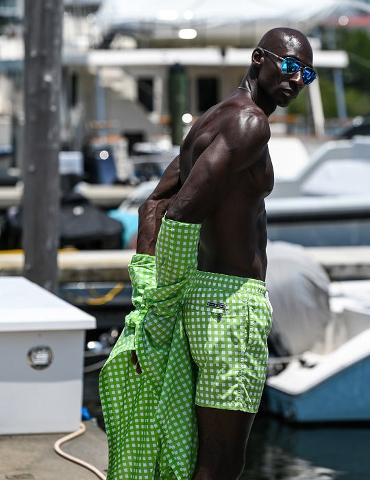 Men's Pier Sports Swim Shorts - Gingham Small