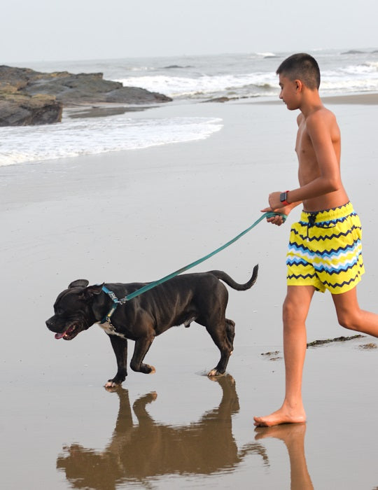 Men's Pier Sports Swim Shorts - Chevron Galaxy