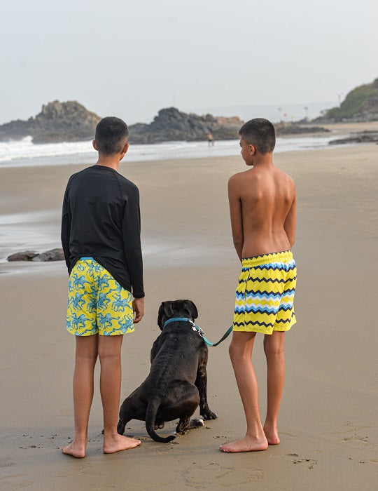 Men's Pier Sports Swim Shorts - Octa