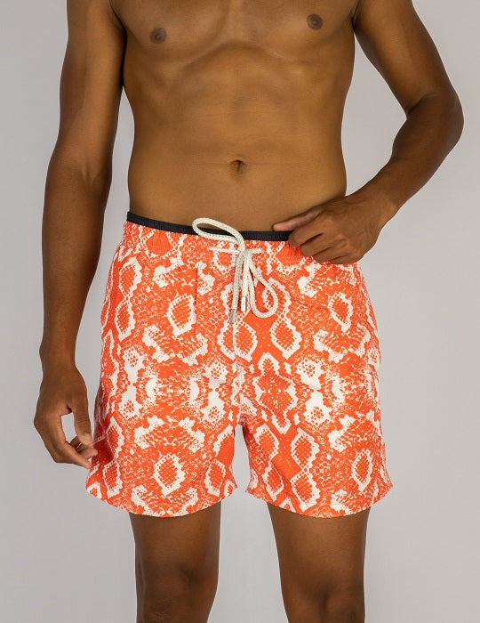 Men's South Beach Sports Swim Shorts - Python