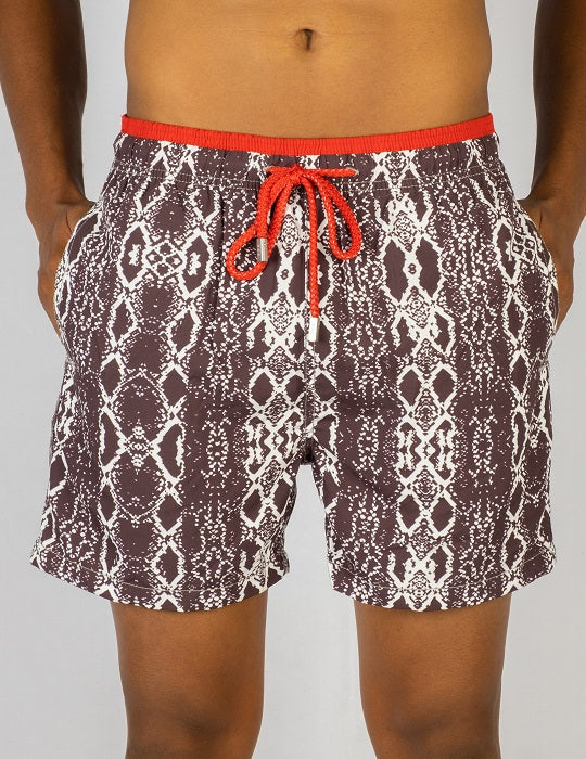 Pier Sports Swim - Anaconda