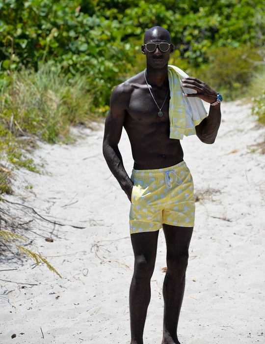 Pier Sports Swim - Palm