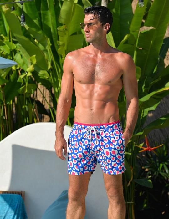 Pier Sports Swim - Animal