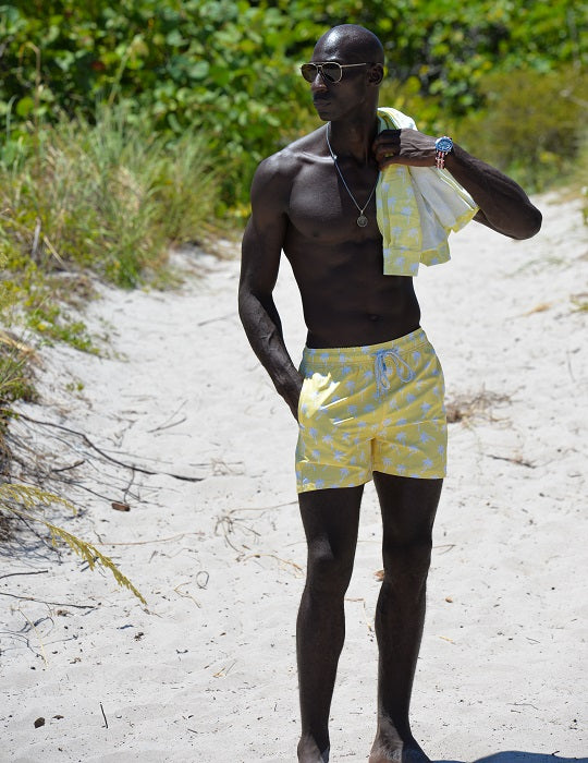 Pier Sports Swim - Palm