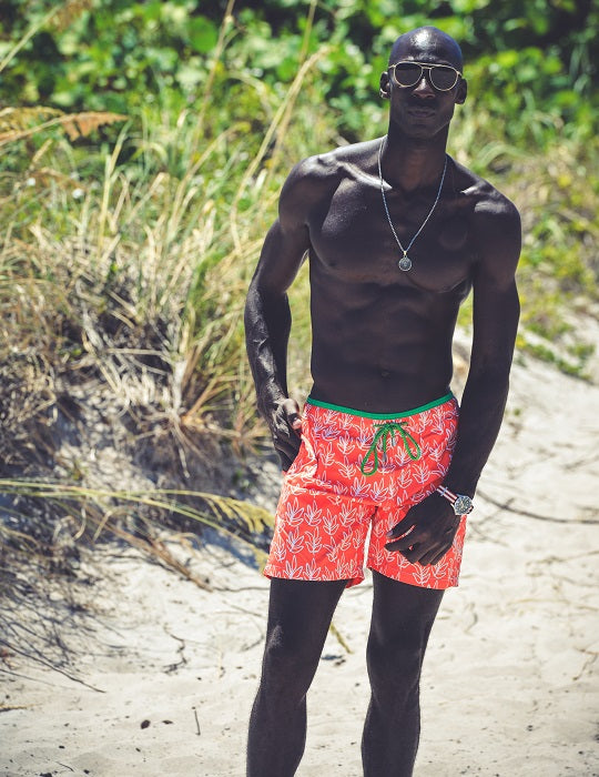 Pier Sports Swim - Sprig