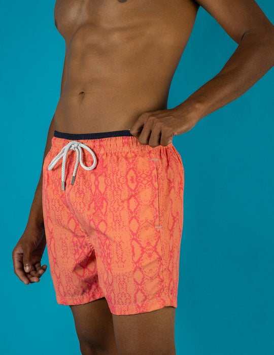 Pier Sports Swim - Anaconda