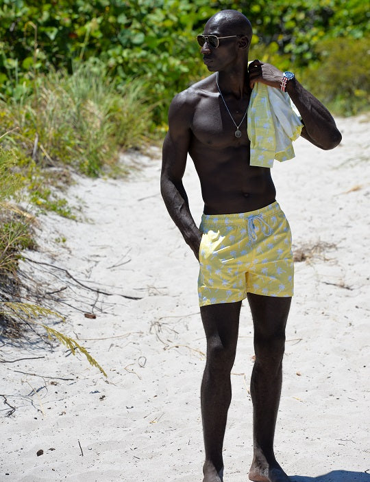 Pier Sports Swim - Palm