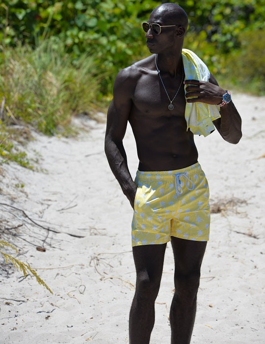 Pier Sports Swim - Palm